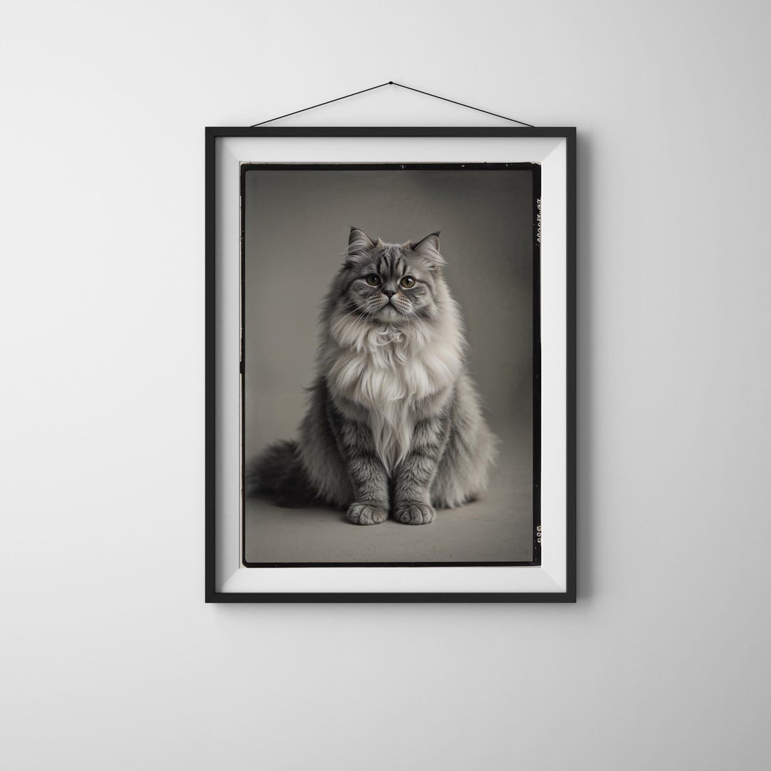 Vintage Persian Cat Portrait: Black and White Animal Wall Art (PNG, JPG ...