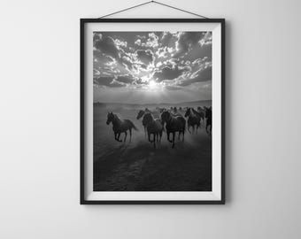 Wild Horses Sunset Print: Black and White Equine Photography (Digital Download)