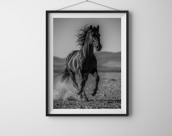 Galloping Black Stallion – Fine Art Black & White Horse Photography Print - Digital Download