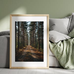 Peut inclure: Impression encadrée d'un sentier forestier. De grands arbres bordent un chemin de terre, créant un effet de tunnel. La lumière du soleil filtre à travers les arbres, projetant des ombres sur le sentier. L'œuvre est dans un cadre en bois naturel.