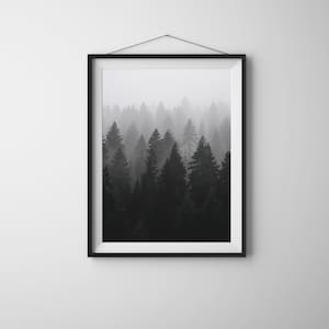 May include: A framed print depicting a forest of tall evergreen trees in a misty fog. The trees are a dark green, and the fog creates a gradient effect, fading to white at the top. The frame is black.