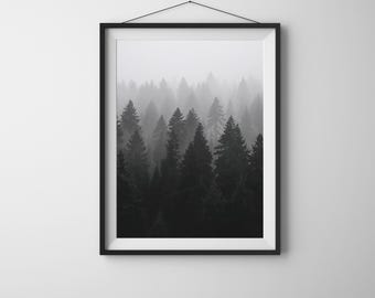 Misty Pine Forest Print: Black and White Woodland Photography (Digital Download)
