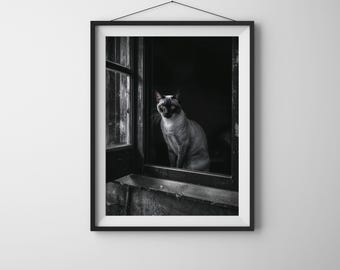 Vintage Siamese Cat Photo: Nostalgic Black and White Pet Portrait (Digital Download)