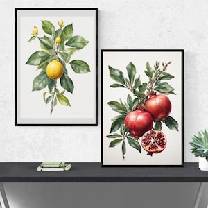 Pomegranate Branch Wall Art - Watercolor Red Fruit Print - Botanical Kitchen Decor - Digital Download PNG