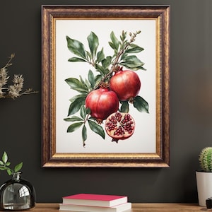 Pomegranate Branch Wall Art - Watercolor Red Fruit Print - Botanical Kitchen Decor - Digital Download PNG