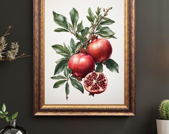 May include: A framed botanical print featuring pomegranates. The artwork showcases two whole pomegranates and one cut open, revealing the seeds. The pomegranates are a deep red, contrasted by green leaves and a gold-toned frame. The background is off-white.