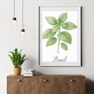 Basil Herb Wall Art - Watercolor Botanical Print - Kitchen Herb Decor - Printable Digital Download - PNG File