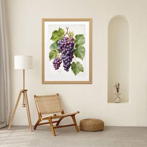 Grapevine Twig Wall Art - Watercolor Purple Grape Print - Botanical Fruit Kitchen Decor - Instant Download PNG