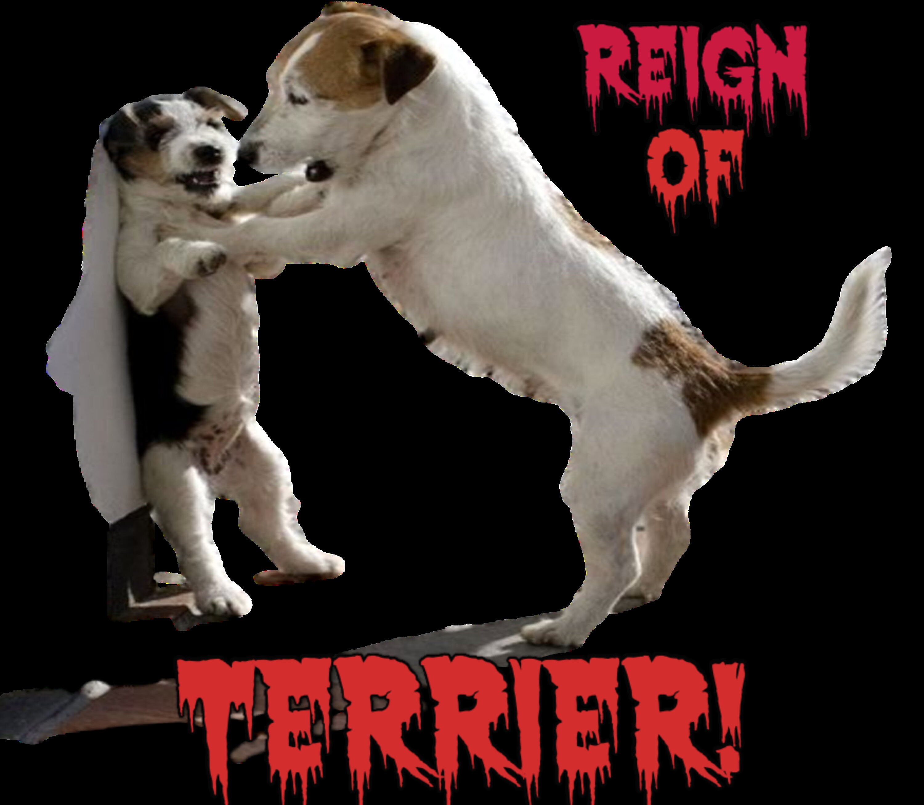 terraer reign terraer reign