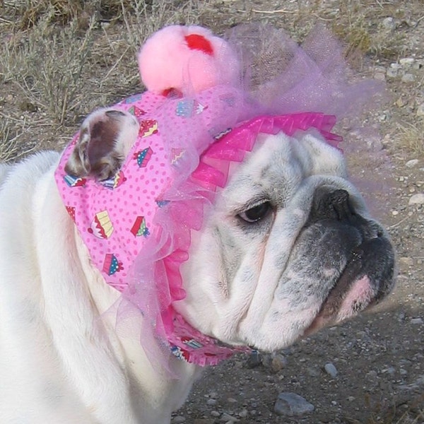 Order a CUPCAKE hat for English Bulldog-GIRLY MODELFunny Dog Hat