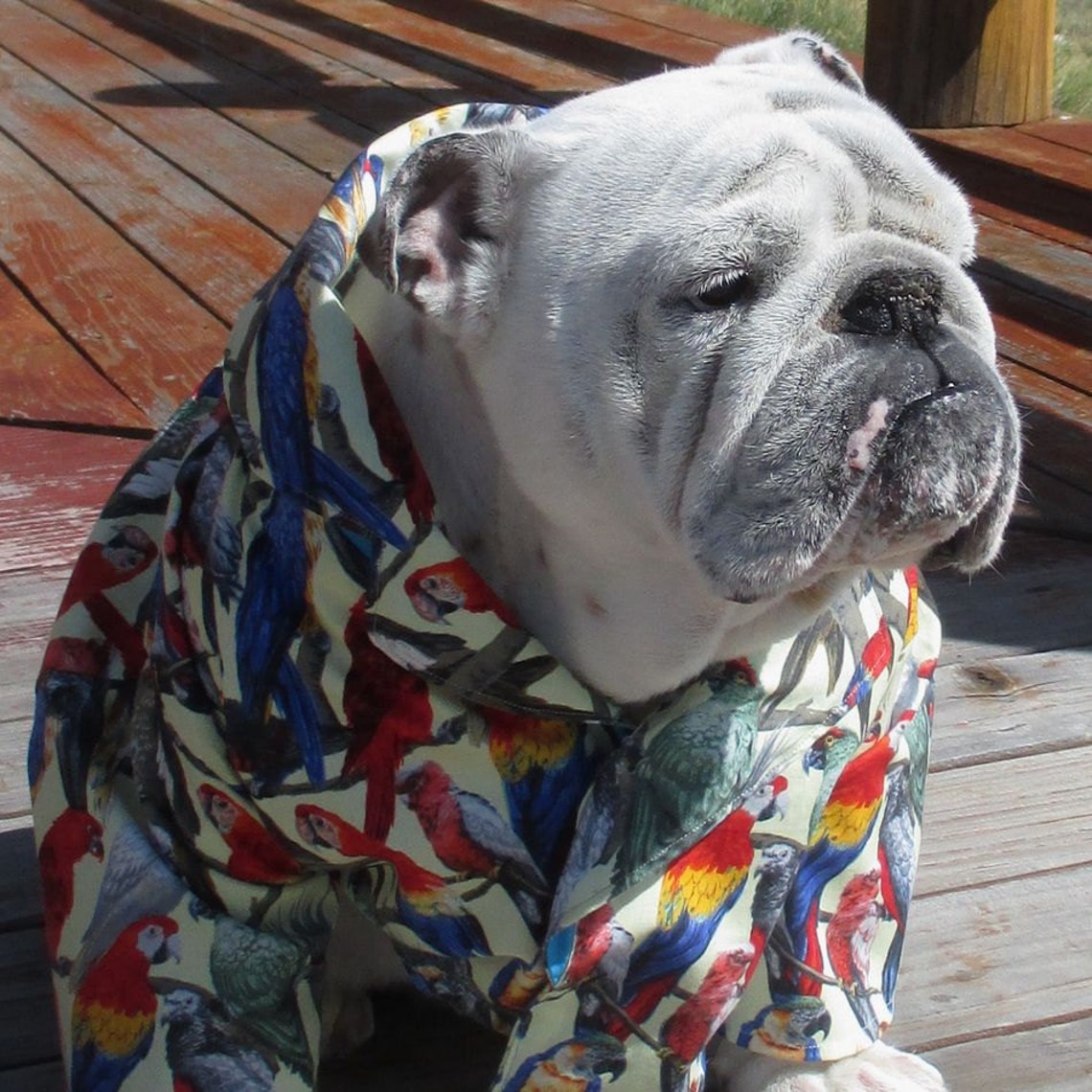 ENGLISH BULLDOG Hawaiian Shirt Hawaiin Dog Shirt Pet Etsy