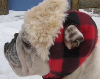 ENGLISCHE BULLDOGGE Hunter Hat, Faux Furon Krempe, Bulldogge Kleidung, Englische Bulldogge Mütze, wendebar