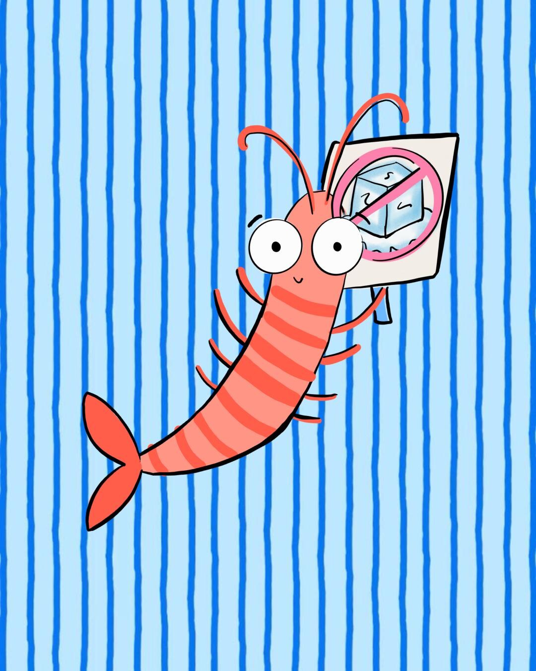 NO ICE Shrimp Sticker / Abolish ICE Animal Computer Decal - Etsy