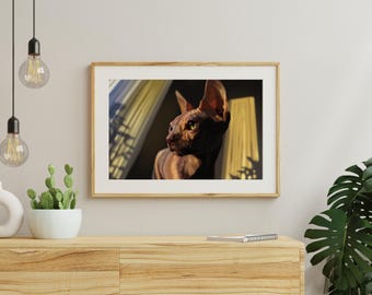 Huisdierschilderij, gepersonaliseerde hond/katkunst, aangepast schilderij, gedenkteken, cadeau