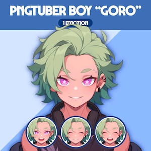 Cute PNGTuber Model | Male PNGTuber Premade Model | VeadoTube Model | Cute PNG Tuber Model, Vtuber Model, Reactive PNG, GIFTuber, M14 Goro
