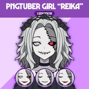 Cute PNGTuber Model | Girl PNGTuber Premade Model | VeadoTube Model | Cute PNG Tuber Model, Vtuber Model, Reactive PNG, GIFTuber, F01 Reika