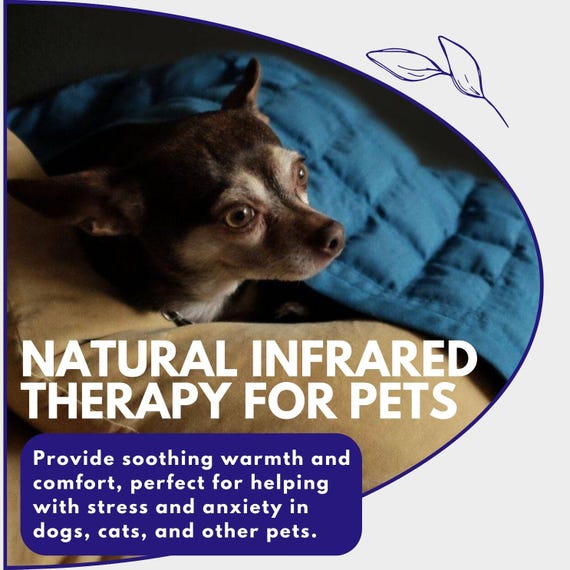 Infrared Health Blanket for Dogs – Calming Pet Bed, Anxiety & Stress Relief