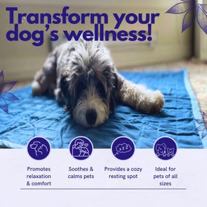 May include: A blue and white dog bed with a dog lying on it. The bed is quilted and has a blue border. The text "Transform your dog's wellness!" is at the top of the image. Below the bed are four icons with text describing the benefits of the bed: "Promotes relaxation & comfort", "Soothes & calms pets", "Provides a cozy resting spot", and "Ideal for pets of all sizes".