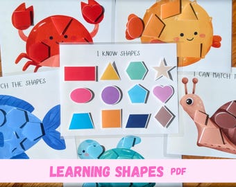 Actividad de emparejamiento de formas imprimible, libro tranquilo para preescolar, libro de actividades imprimible para jardín de infantes, actividad para niños pequeños, actividad preescolar Montessori PDF