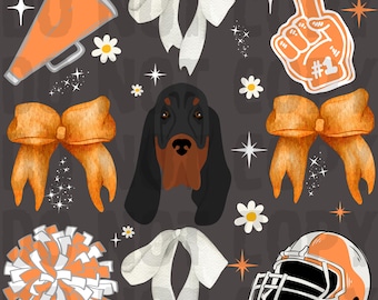 May include: A digital illustration with a black and brown Bloodhound dog, orange bows, a megaphone, a football helmet, a foam finger, and a pom-pom. White daisies and starbursts are scattered across the dark grey background. The theme combines sports and pets.