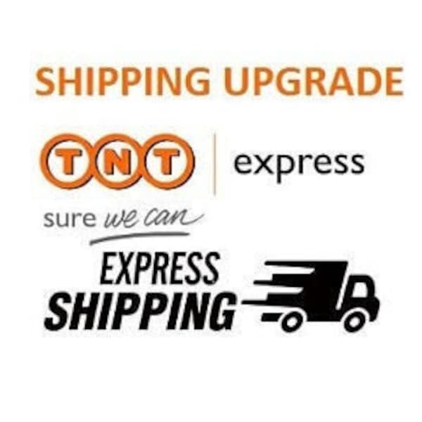 FEDEX Express Shipping Delivery Upgrade, 2-5 business days to United States, Express Shipping FEDEX, Shipping Upgrade