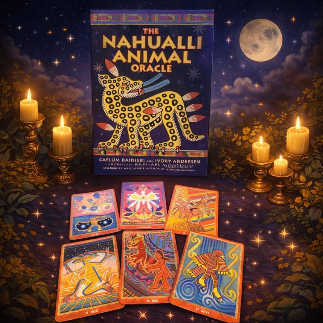 The Nahualii Animal Oracle Deck With Guidebook Aztec Divination Cards ...