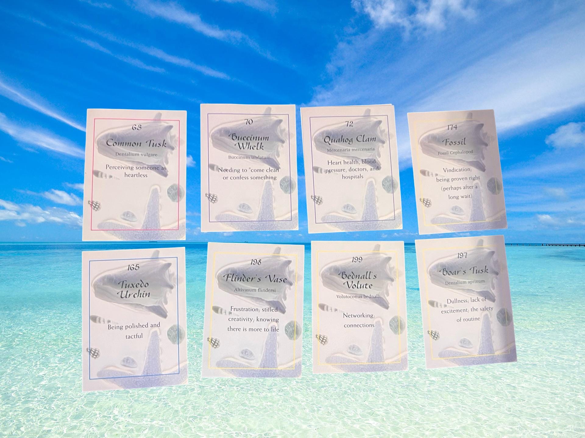 再値下げ　Ocean Oracleカード Ocean Oracle Card Deck by Michelle Hanson Seashell Divination