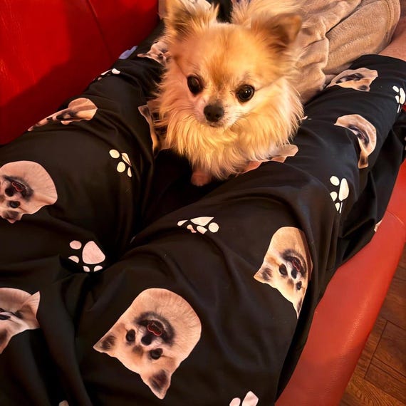 Matching Pajamas Pajamas For Dog Lovers Custom Dog, Cat Or Pet