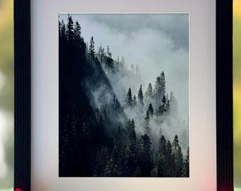 Foggy Forest Photography Print, Washington State Landscape Wall Art