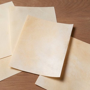 Antique goatskin parchment - Vellum - Real parchment -