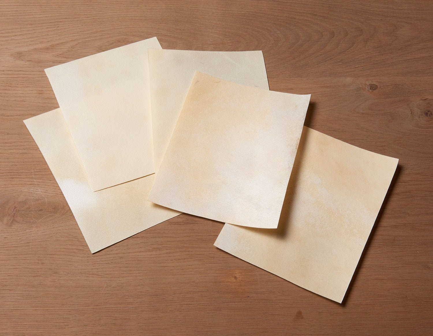 Antique goatskin parchment Vellum Real parchment Visual Arts