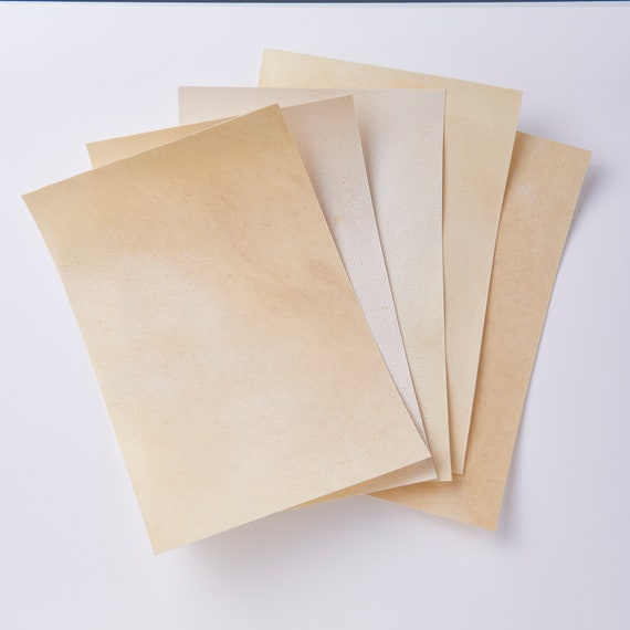 Real Parchment for Calligraphy, Painting, Printing, Bookbinding in Various  Sizes and Tones Vellum Goatskin Parchment 