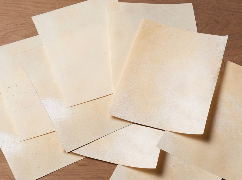 10 Sheets of 8x12 Real Goatskin Parchment Vellum 10 Etsy