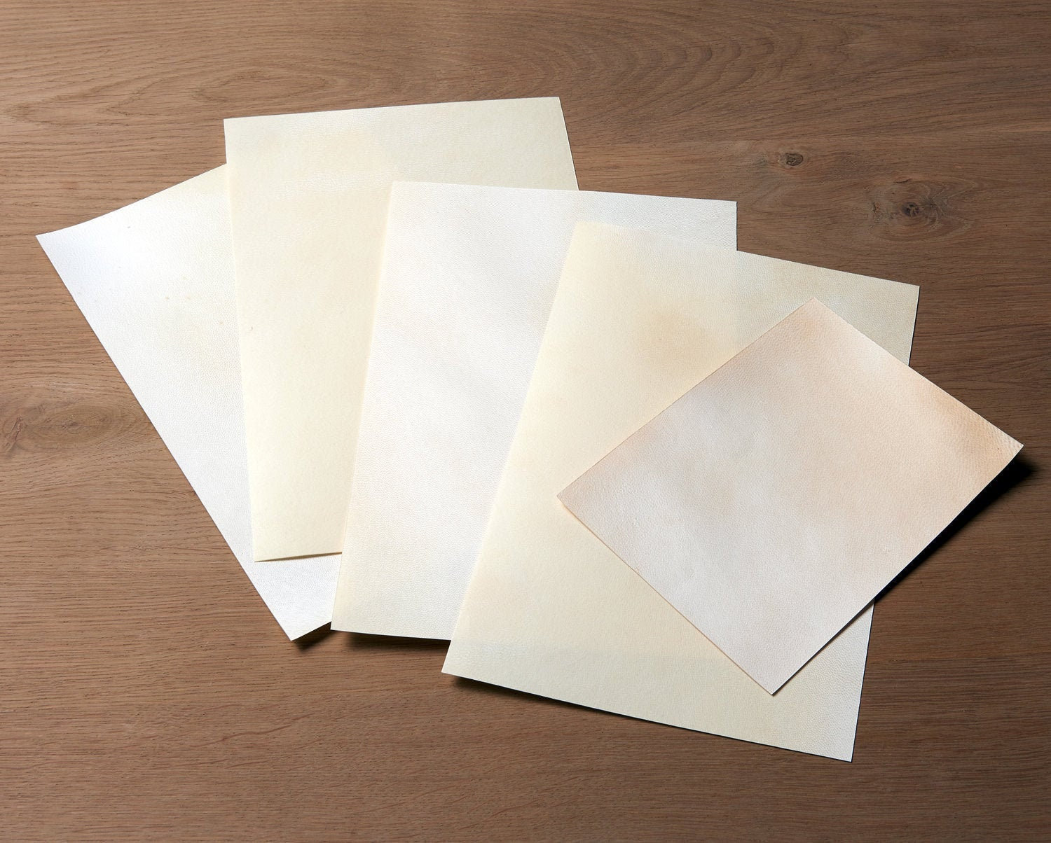 Natural Goatskin Parchment Real Parchment Parchment for Etsy UK