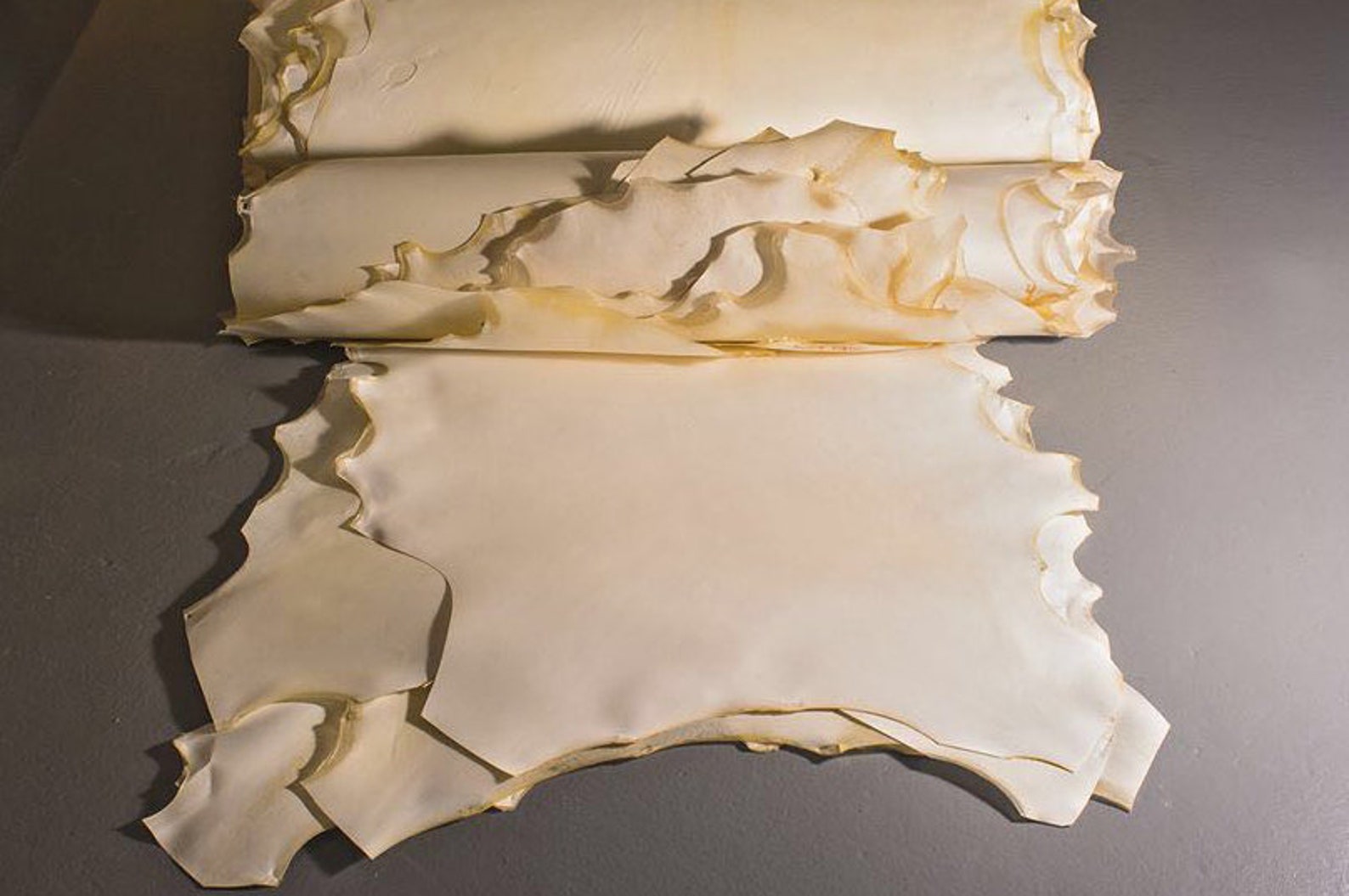 Full Hide Natural Goatskin Parchment Vellum Real Parchment Etsy UK
