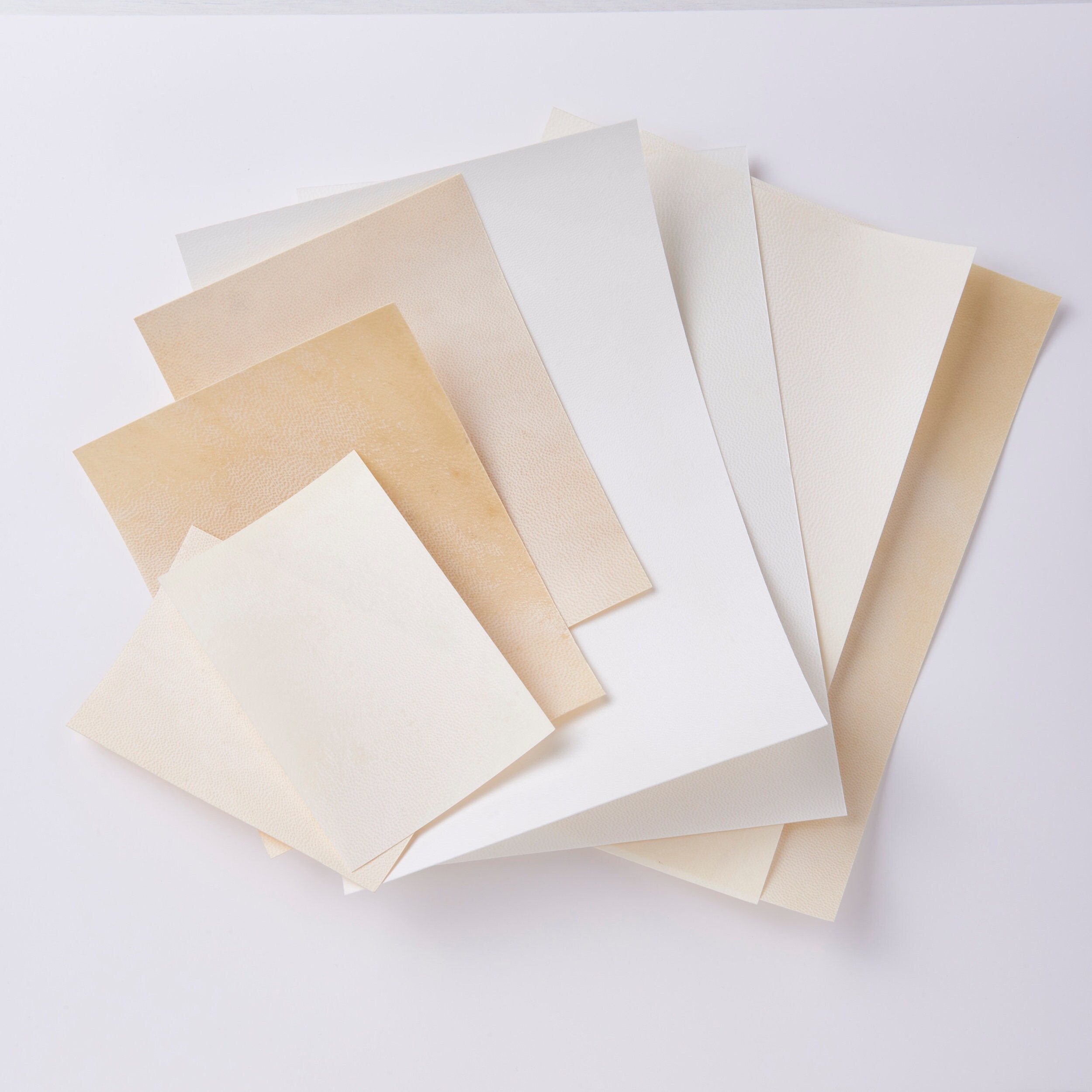 Translucent Vellum Sheets (Pack of 50) – Written Word Calligraphy