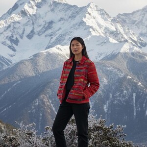 May include: A red, multi-colored striped jacket with a button-down front. The jacket is worn over a black shirt and paired with black pants. The background features snow-capped mountains and a cloudy sky.