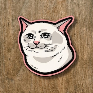 Pegatina de vinilo de gato triste / Pegatina de gato meme para portátiles, teléfonos, botellas de agua, cascos, libros, Kindles, bolsos de viaje y mucho más.