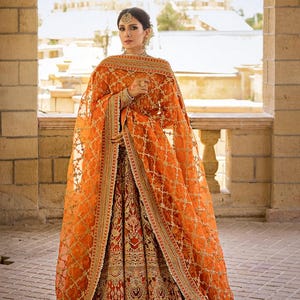Embroidered Orange Net Pakistani Dress: Jahanara Outfit