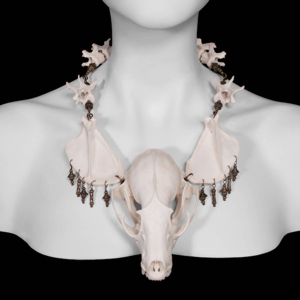 Raccoon Skull and Bone Necklace - Myval