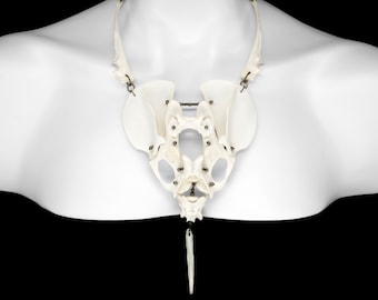 Bone and Baculum Necklace - Dida