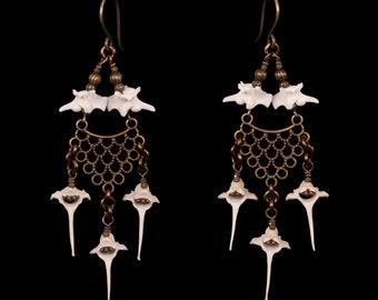 Vertebrae Earrings - Dollya