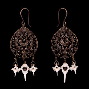 Vertebrae Bone Earrings - Aurora