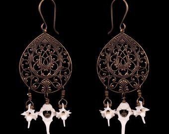 Vertebrae Bone Earrings - Aurora