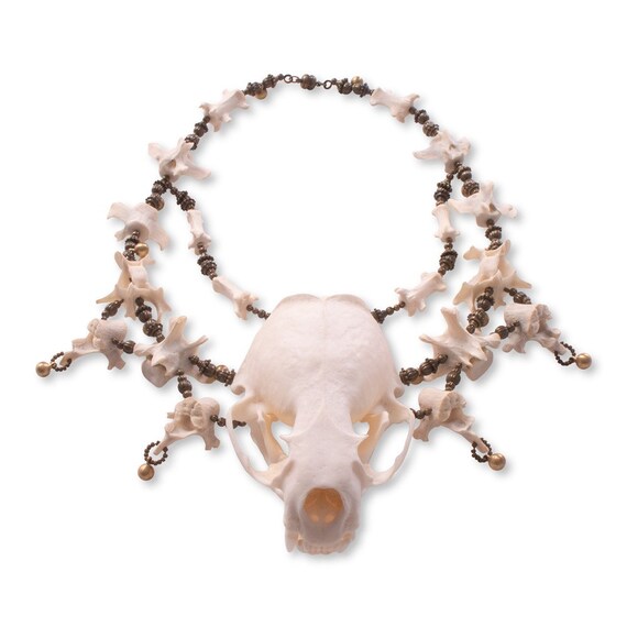 Skull and Vertebrae Bone Necklace - Vydra - Etsy