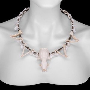Skull and Jaw Bone Necklace - Vanjie