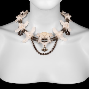 Multiple Vertebrae Bone Necklace - Velda