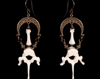 Vertebrae Bone Earrings - Helena