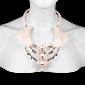 Scapulae and Vertebrae Bone Necklace - Layne