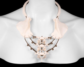 Scapulae and Vertebrae Bone Necklace - Layne